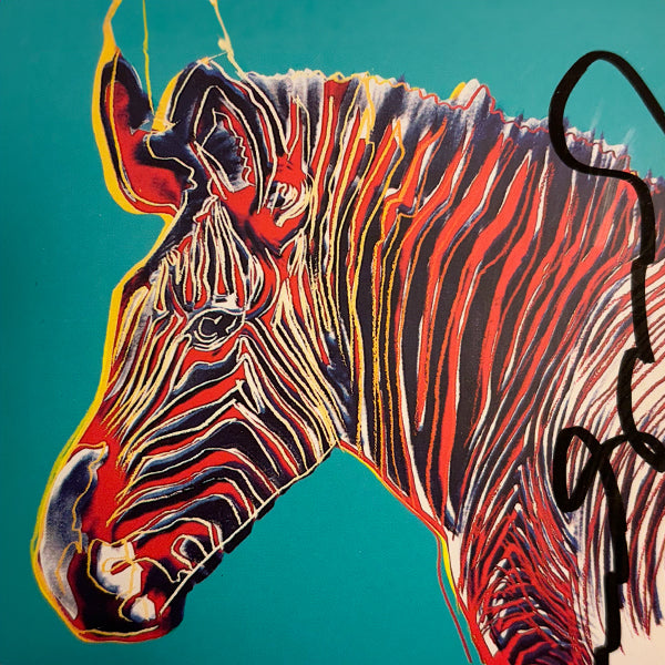 Grevy's Zebra - Invitation Card