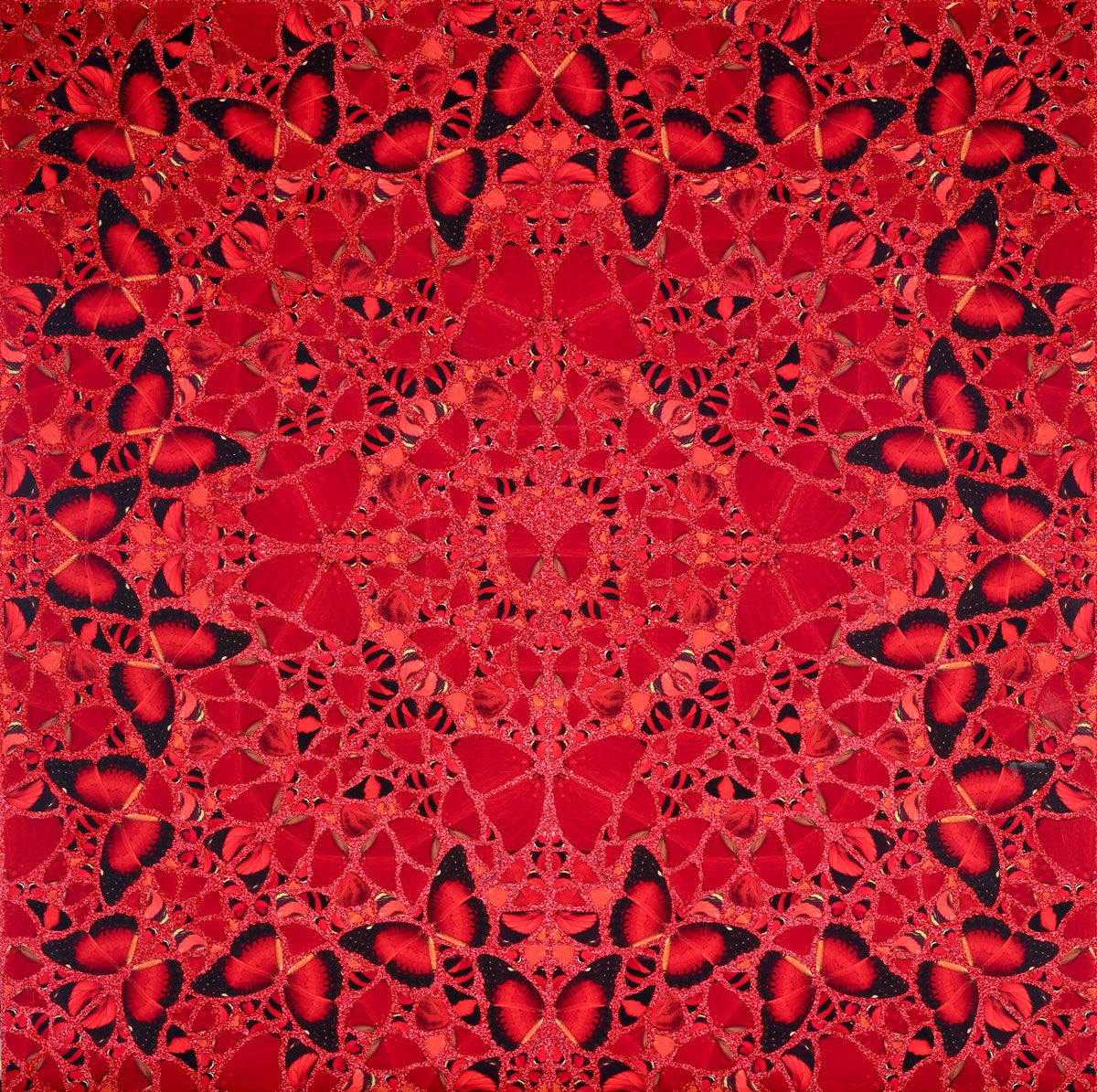 The Empresses (Collection), 2022