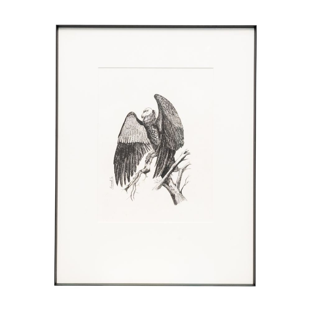 The Winged Keeper