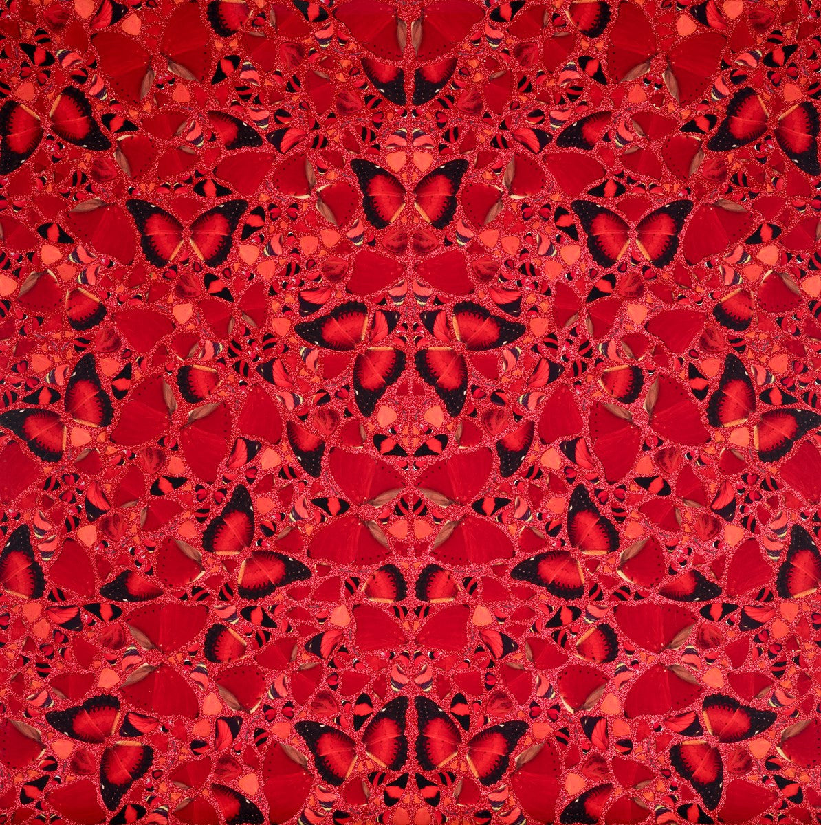 The Empresses (Collection), 2022