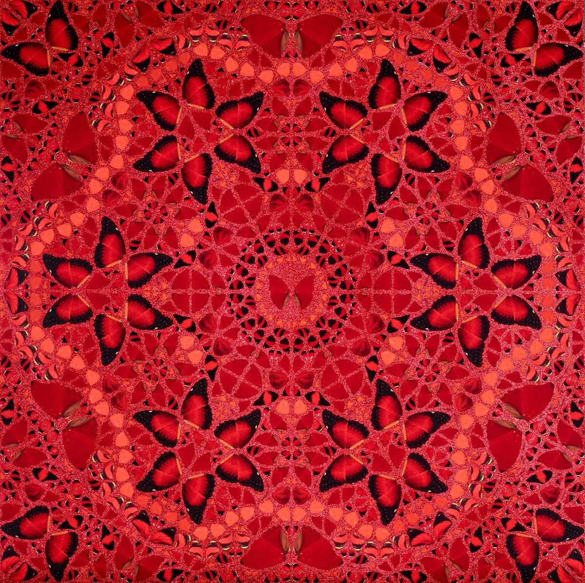 The Empresses (Collection), 2022